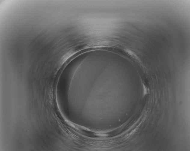 X0000060571457200511101617