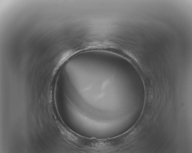 X0000060571459200511101617