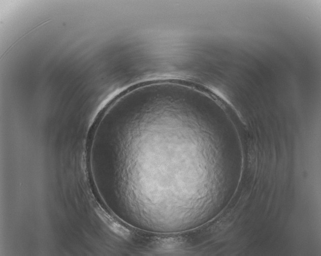 X0000060571460200511101617