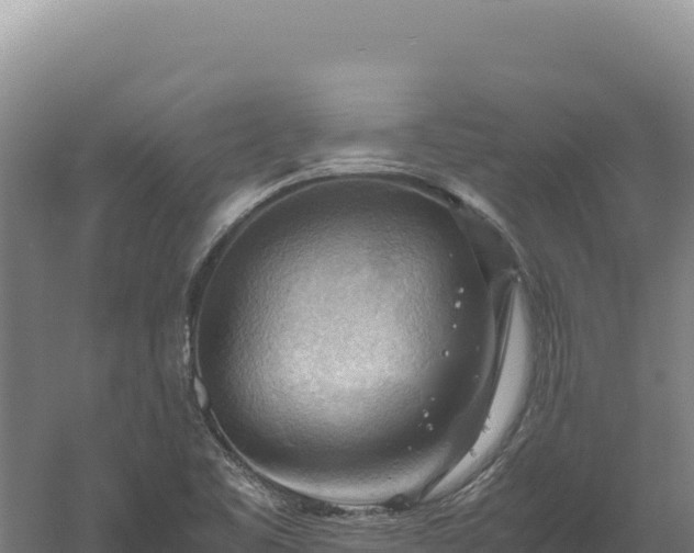 X0000060571461200511101617