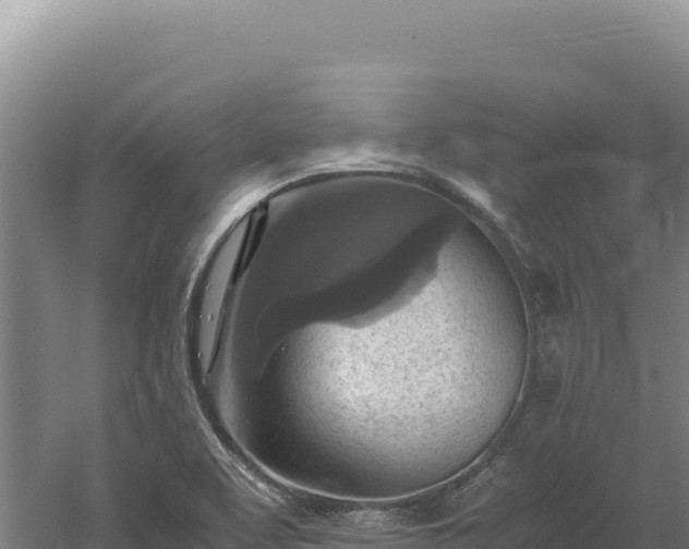 X0000060571463200511101617