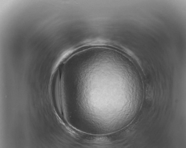 X0000060571464200511101617