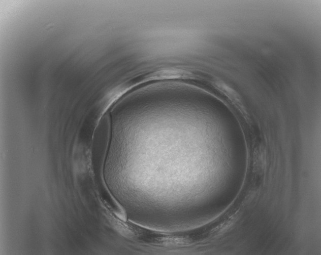 X0000060571465200511101617