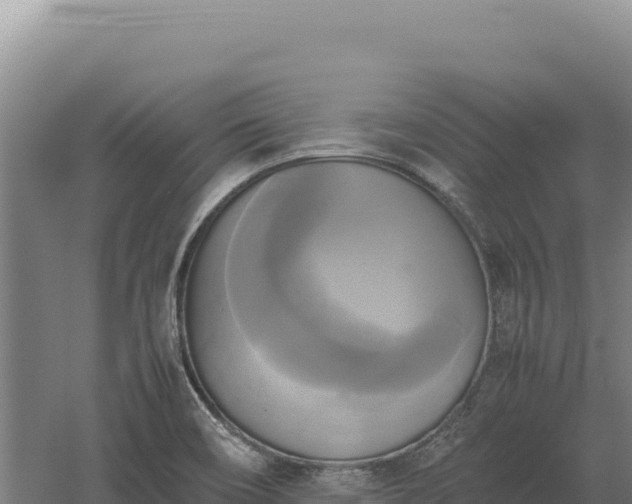 X0000060571466200511101617