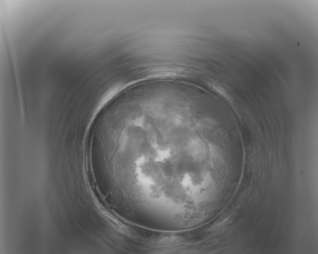 X0000060571467200511101617