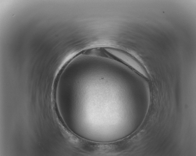 X0000060571469200511101617