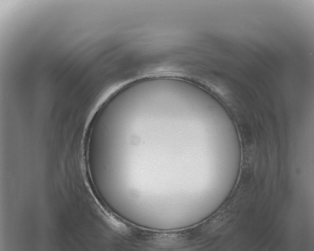 X0000060571470200511101617