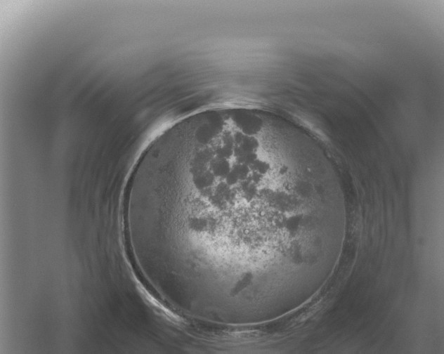 X0000060571471200511101617