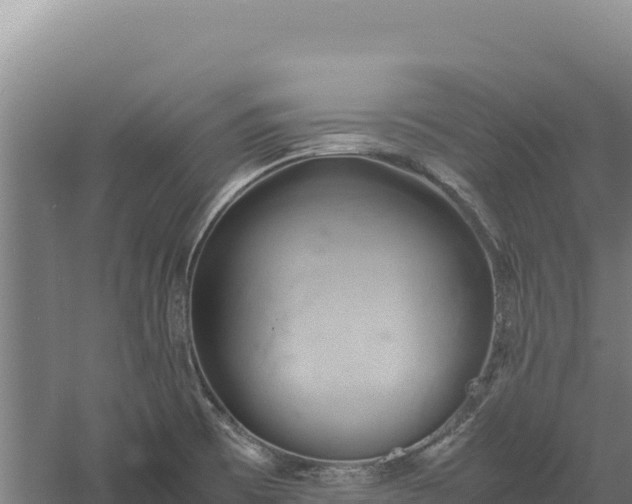 X0000060571473200511101617