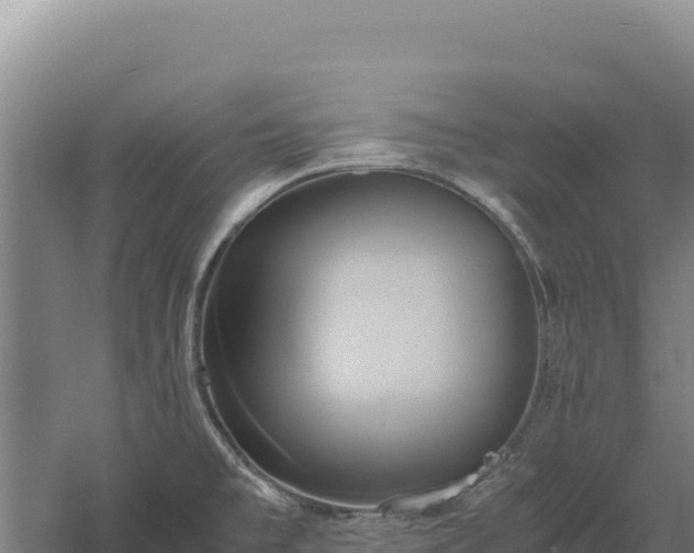 X0000060571477200511101617