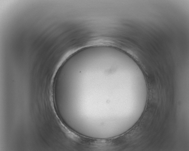 X0000060571478200511101616