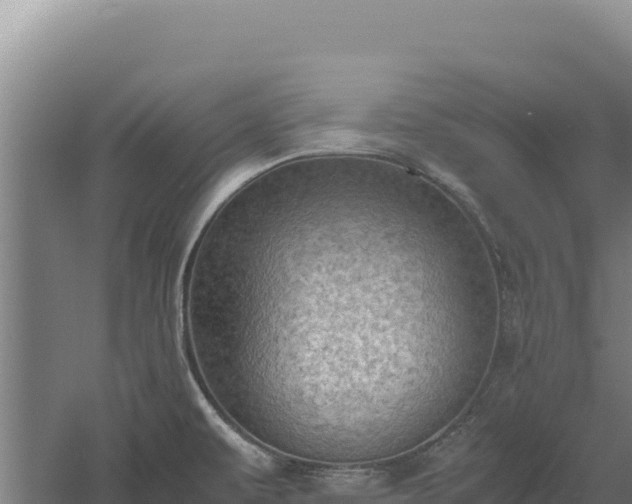 X0000060571479200511101616