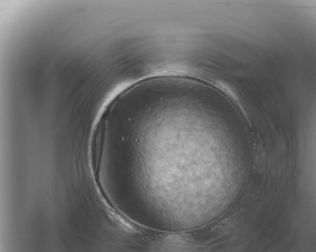 X0000060571480200511101616