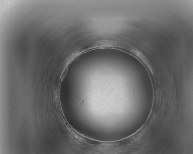 X0000060571481200511101616