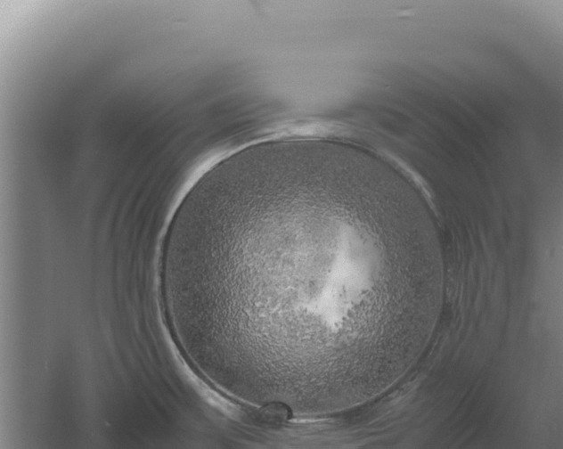 X0000060571483200511101616