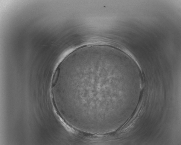 X0000060571485200511101616