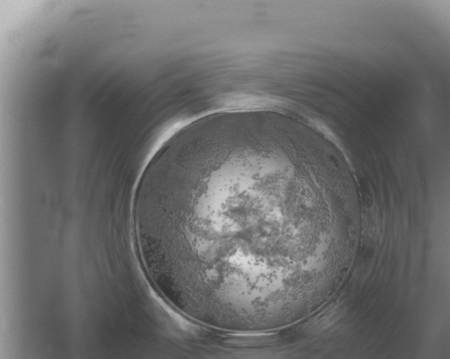 X0000060571487200511101616