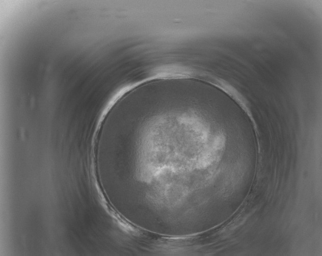 X0000060571488200511101616