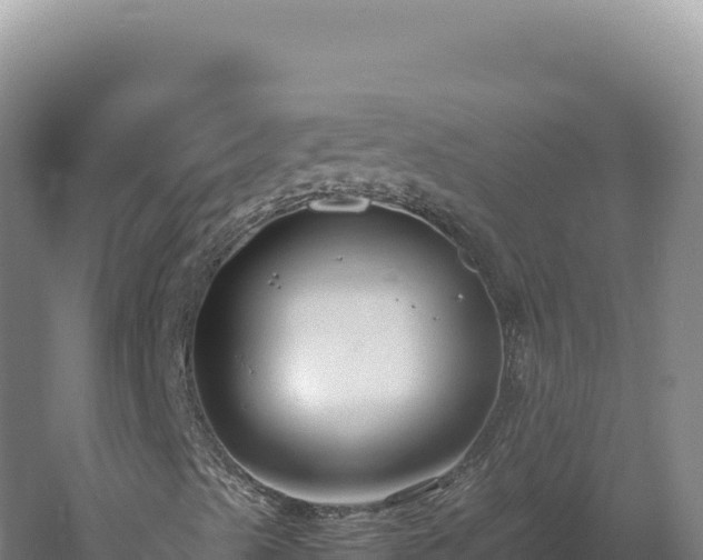 X0000060571489200511101616