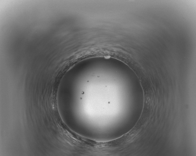 X0000060571490200511101616