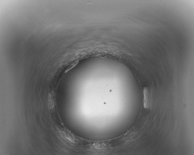 X0000060571491200511101616