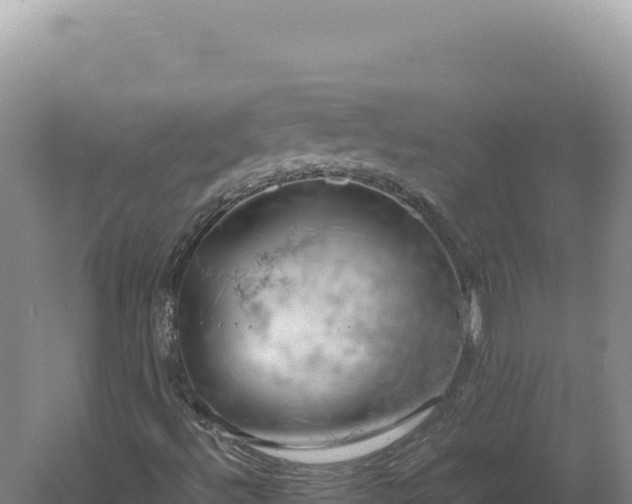 X0000060571492200511101616