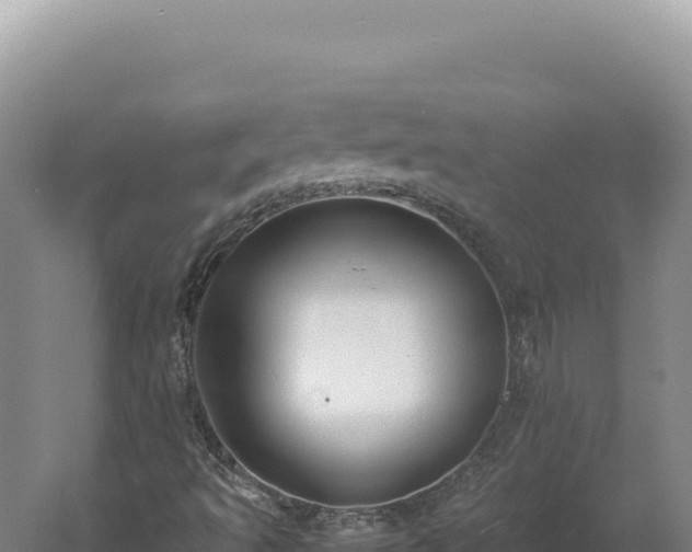 X0000060571493200511101616