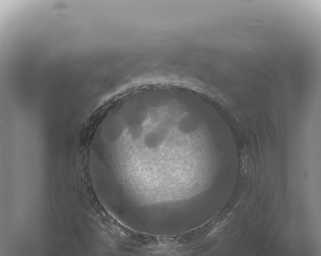 X0000060571494200511101616