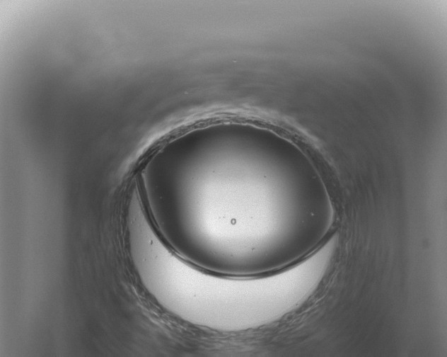 X0000060571496200511101616