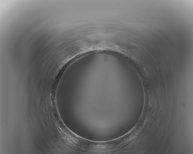 X0000060571497200511101616