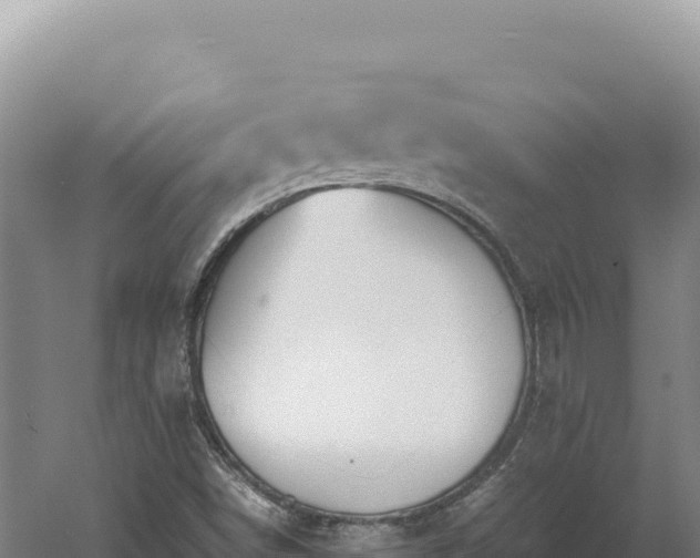 X0000060571498200511101616