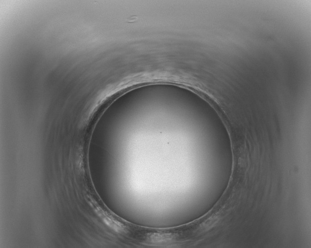 X0000060571499200511101616