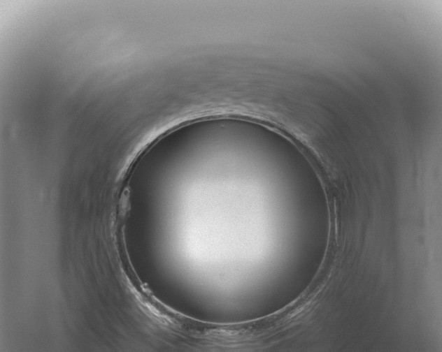 X0000060571500200511101616