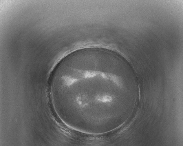 X0000060571501200511101616