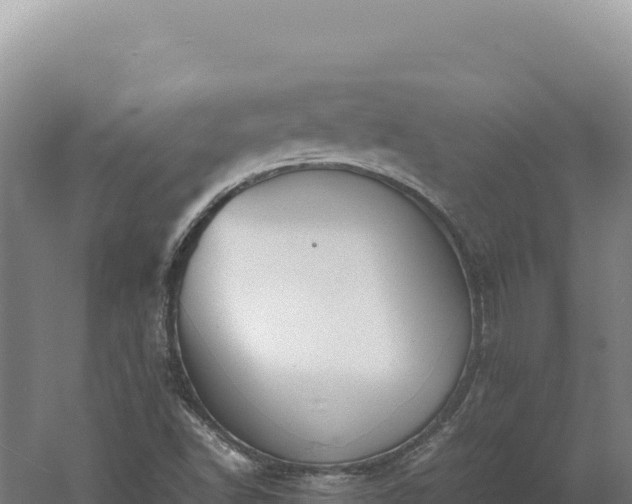 X0000060571502200511101616