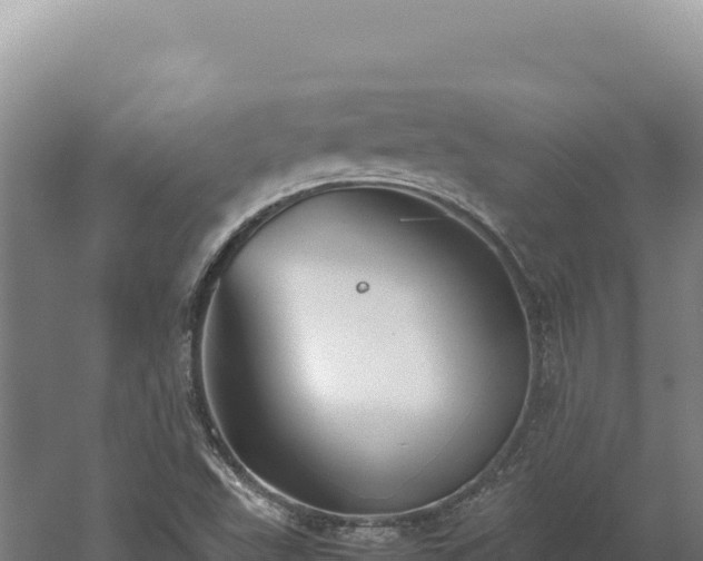 X0000060571503200511101616