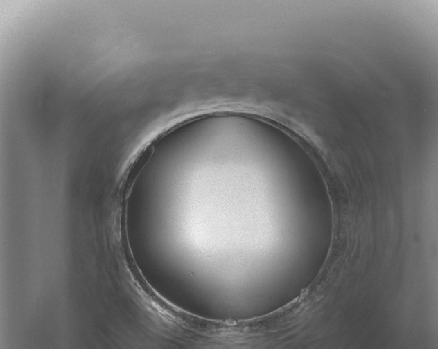 X0000060571504200511101616