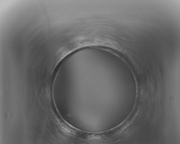 X0000060571505200511101616