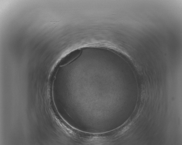 X0000060571506200511101616