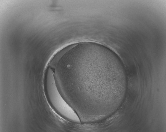 X0000060571508200511101616