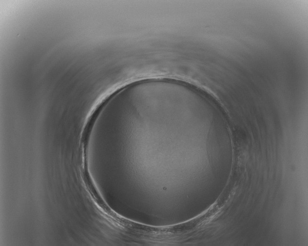 X0000060571509200511101616