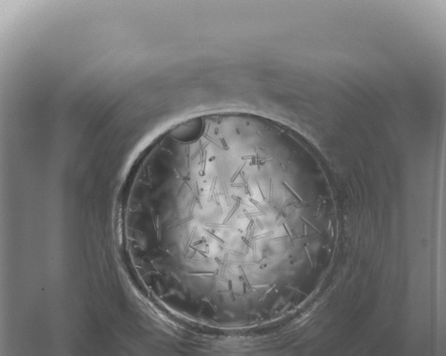 X0000060571510200511101616