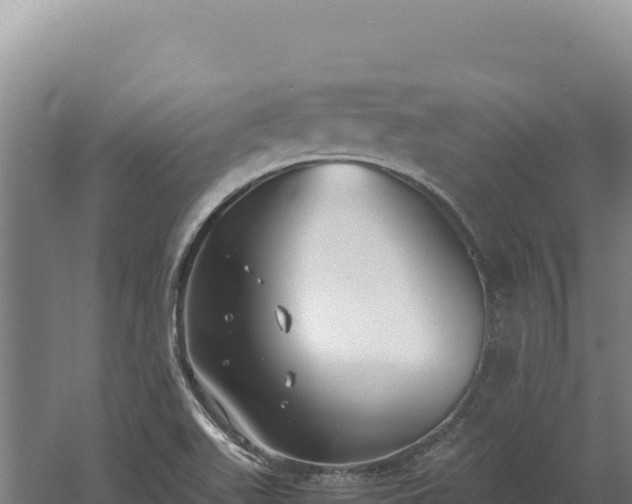 X0000060571511200511101616