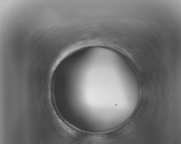 X0000060571512200511101616