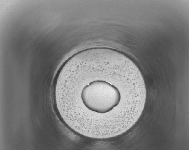 X0000060571514200511101616