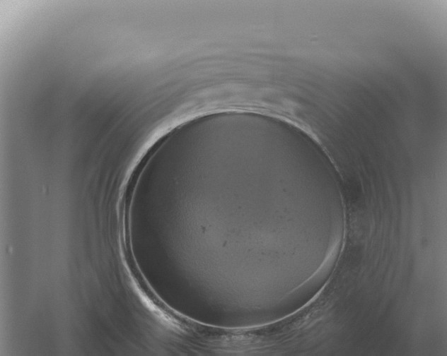 X0000060571515200511101616