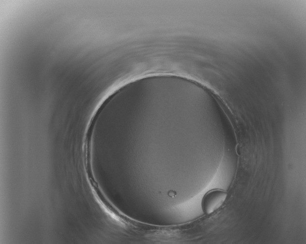 X0000060571519200511101616