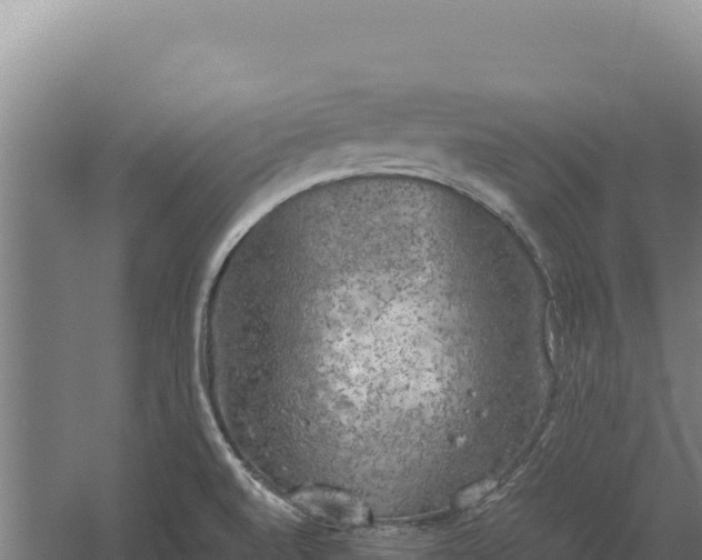 X0000060571520200511101616