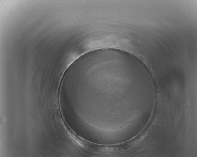 X0000060571521200511101616