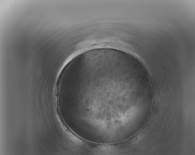 X0000060571522200511101616